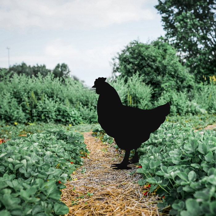 Aberto Design Chicken 01 Negro